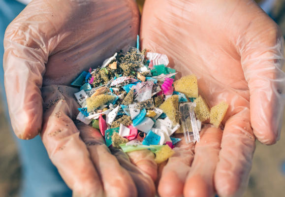 Biodegradable Plastic Longevity