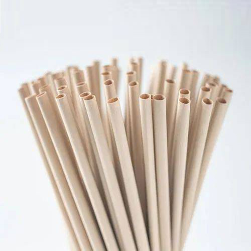 Biodegradable Straws